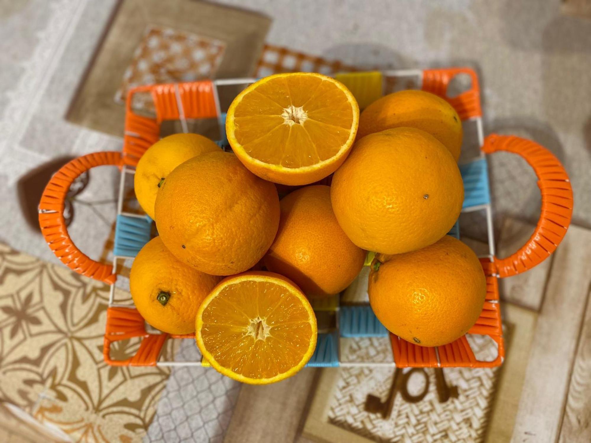 فندق I Feel Orange لينيانو المظهر الخارجي الصورة